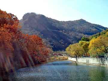 澳门二四六天天免费好材料，山东大学体育学院